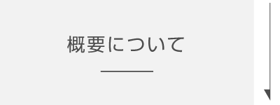 概要について